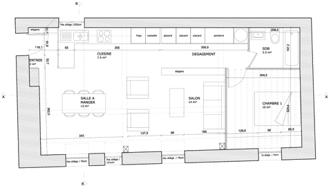 Plan du projet de rénovation appartement Paris 11